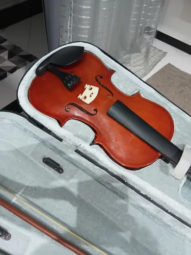 Violino