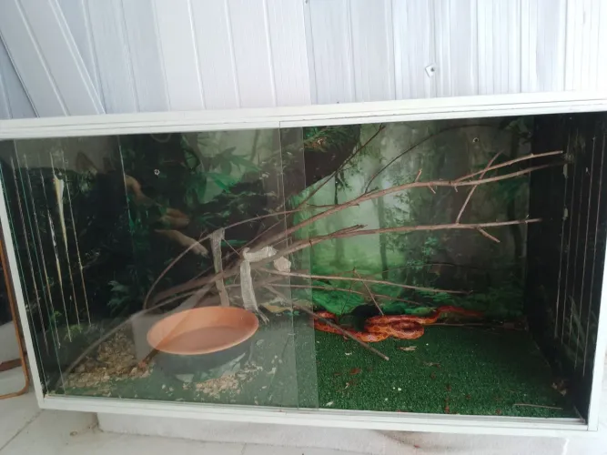 Terrário completo 1400