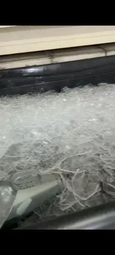 Máquina de gelo escama