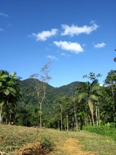 Terreno à venda em Pomerode - Rota do Enxaimel