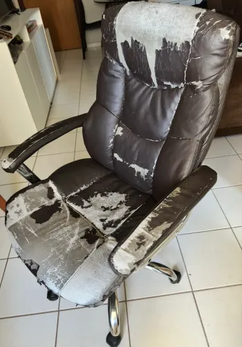 Cadeira presidencial para doação, só buscar