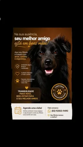 Hotelzinho para cachorros