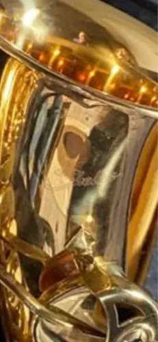 Sax Alto Shelter