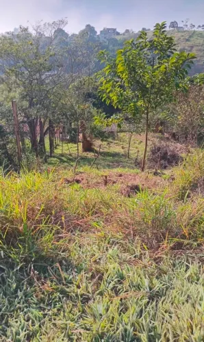 Terreno Pinheiral - Oriente R$40mil