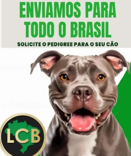 Solicite o pedigree do seu cão de Raça 