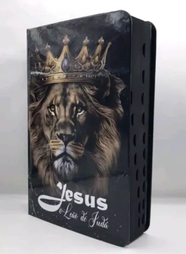 Bíblia sagrada masculina
