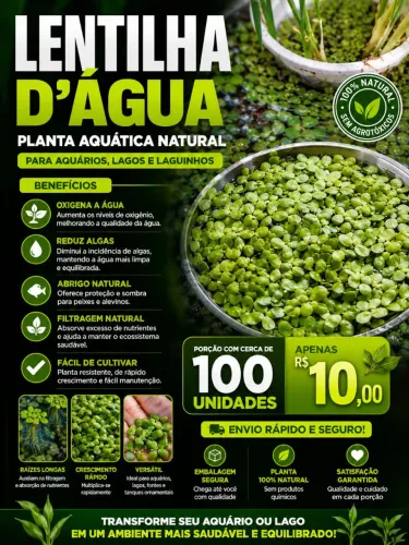 Lentilha D'água para Aquários e Lagos