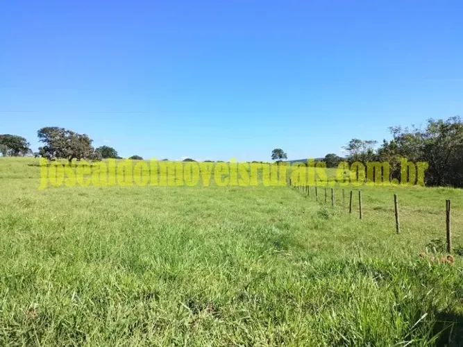 Fazenda 36,0 alqueires em pecuária, 14 km de Ituiutaba MG.