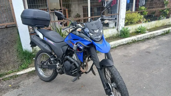 Lander 2019