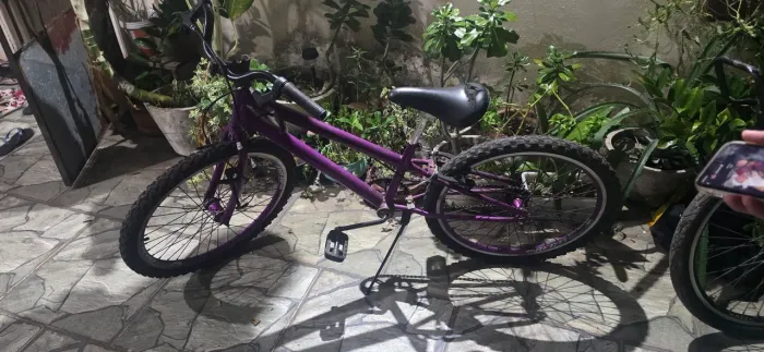 Bicicleta