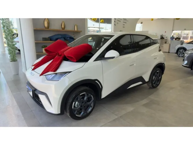 BYD Dolphin Mini (Elétrico) 2027