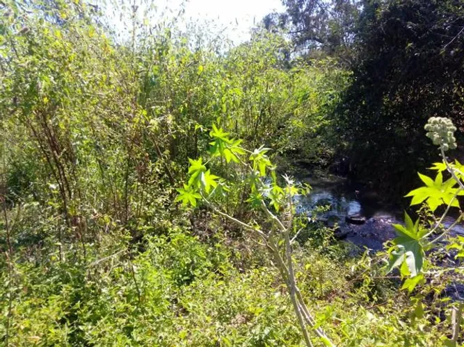 Lote de 429 m2 no bairro tijuca em contagem