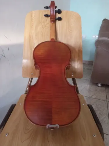 Violino profissional