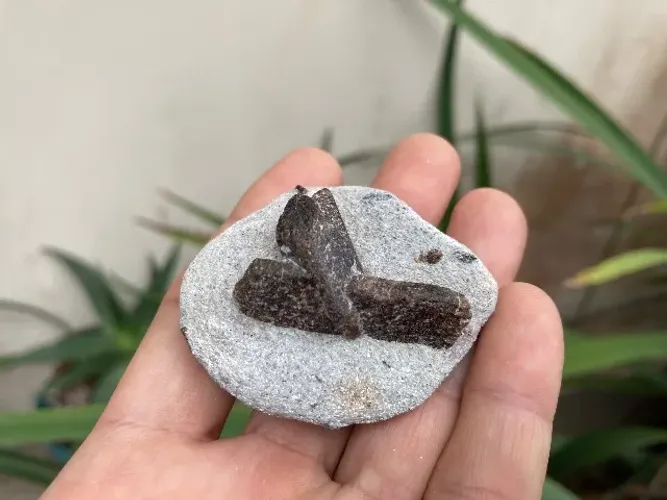 Estaurolita (Pedra da Cruz)