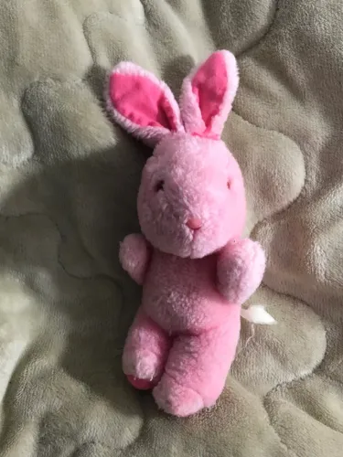 Coelho rosa