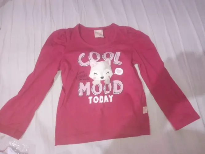 Roupas somente essas da foto