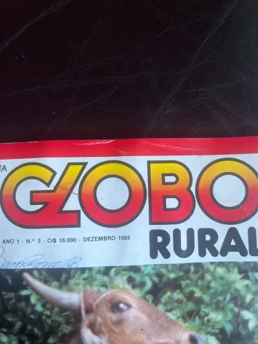 Revistas Globo rural antigas tenho umas 30