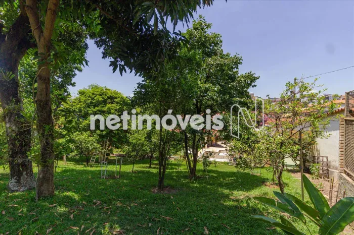 Venda Lote-Área-Terreno Tirol Belo Horizonte
