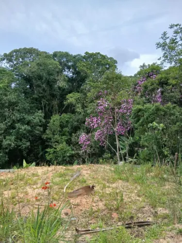 Terreno 1440 metros com lago