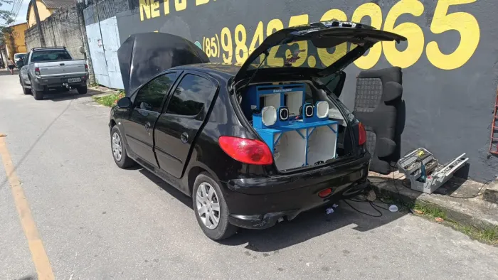 Peugeot 206 Presence 1.4/ 1.4 Flex 8V 5P 2006
