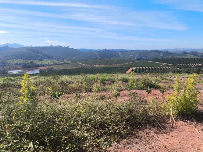 Fazenda para Venda em Guaxupé, 1 dormitório, 1 banheiro, 1 vaga