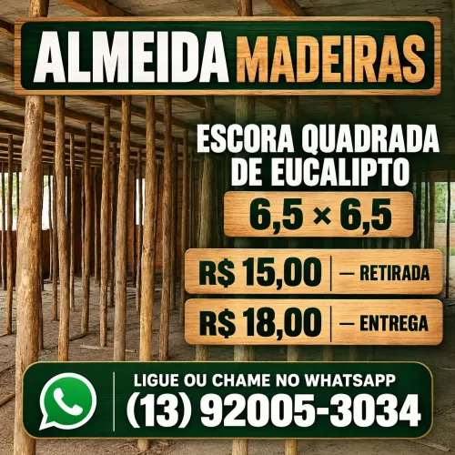 Escora de eucalipto