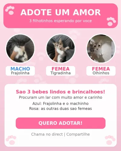 DOAÇÃO