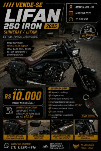 Iron 250 Shineray