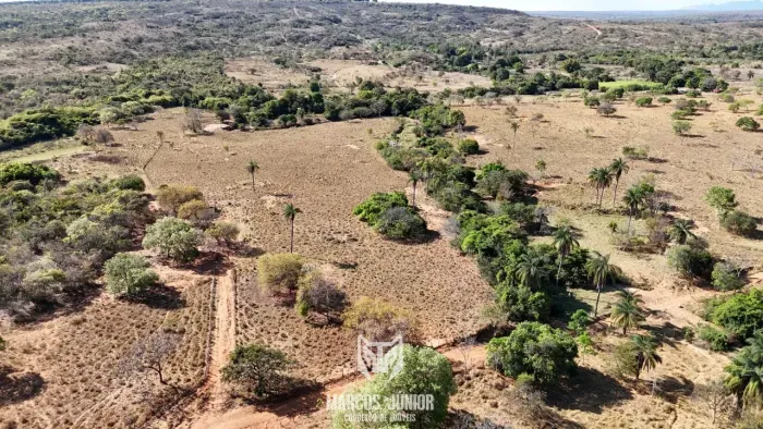 FAZENDA PARA PLANTIO DE CAFE NO NORTE DE MINAS EM GRAO MOGOL COM DUPLA APTIDAO PECUARIA E