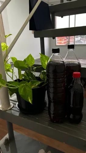 Fertilizante de húmus de minhoca