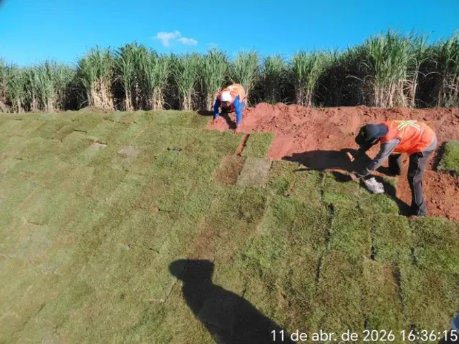 Grama Bermuda Melhor Acabamento Para Seu Jardim