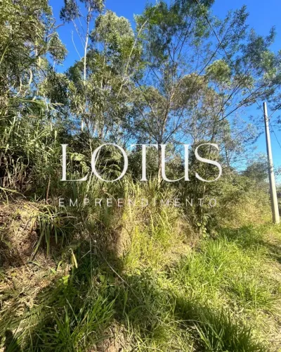 MAIS LIBERDADE, NATUREZA E QUALIDADE DE VIDA