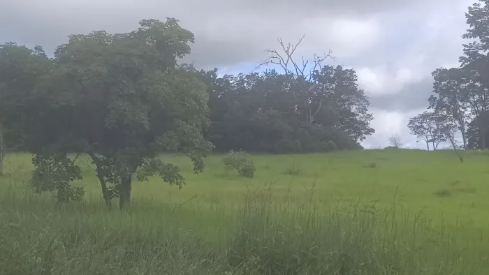 chacara proximo cidade de goias e itaberai do 01 alqueire e 22 litros na fazenda Rocinha