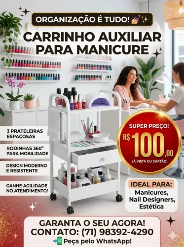 Organizador 3 divisões com rodinhas