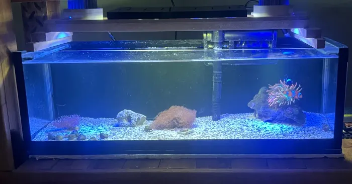 Aquário 25lts