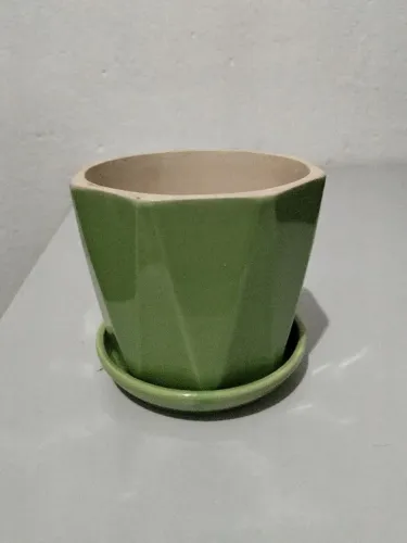 Vaso de plantas 