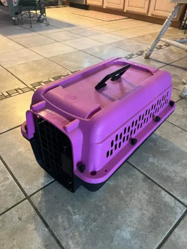 CAIXA DE TRANSPORTE DE GATO Nª 3