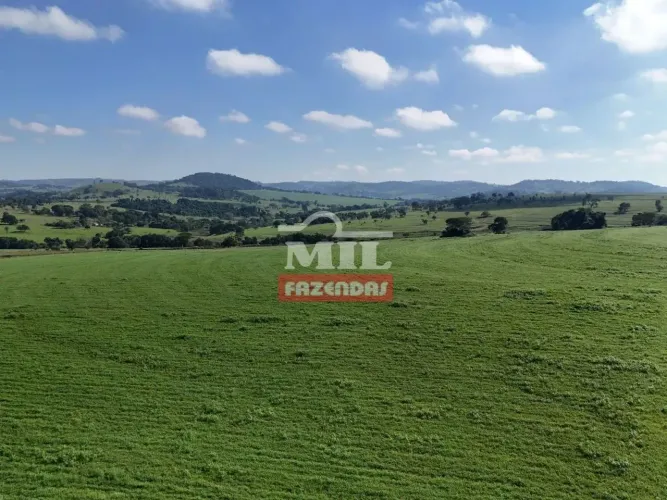 Fazenda 28 Alqueires (135.5 Hectares) Goiania - GO