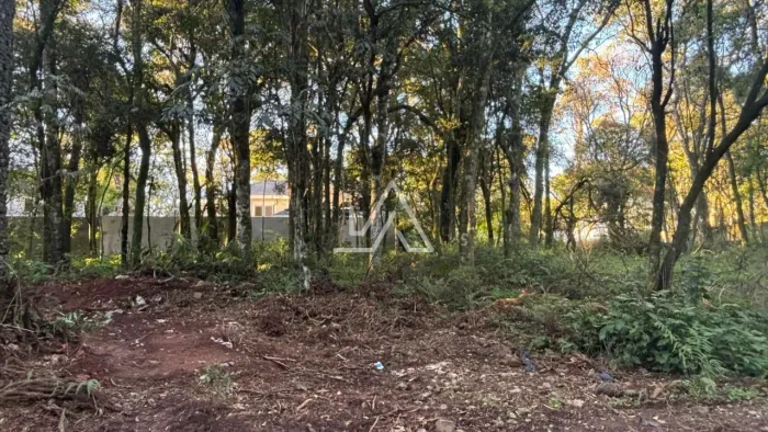 TERRENO RESIDENCIAL NO BOSQUE LUCAS ARAÚJO