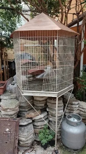 Viveiro Sextavado para aves