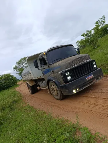 Caminhão 1113