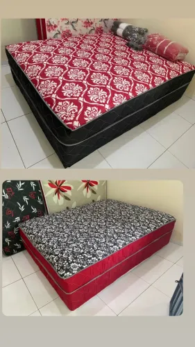 Casal . CASAL . Mega 