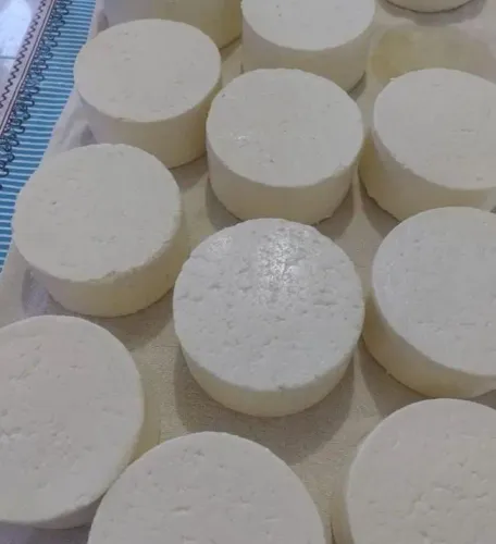 Vendo queijo 