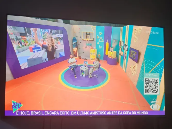 TV TCL 43