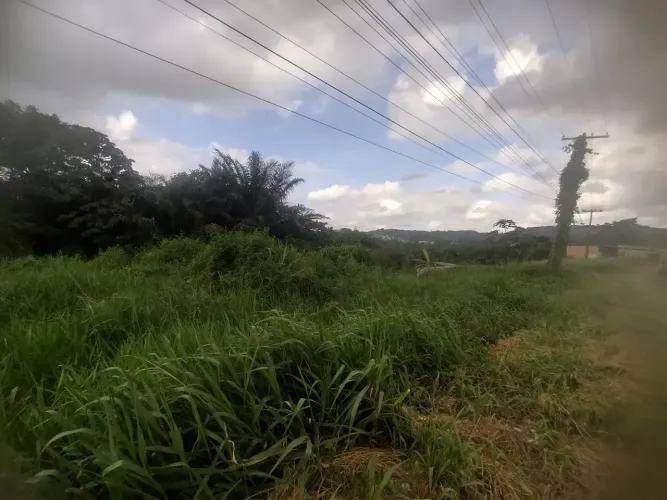 Imóvel para venda possui 39000 metros quadrados em São Tomé - Salvador - BA