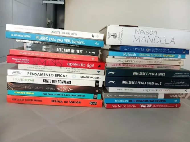 LIVROS DIVERSOS - SOMENTE JOÃO PESSOA (PB)