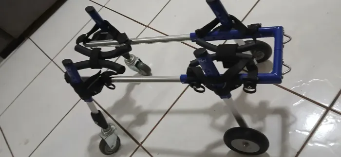 Cadeira de rodas para cachorro grande e médio porte R$ 400,00 / R$ 300,00