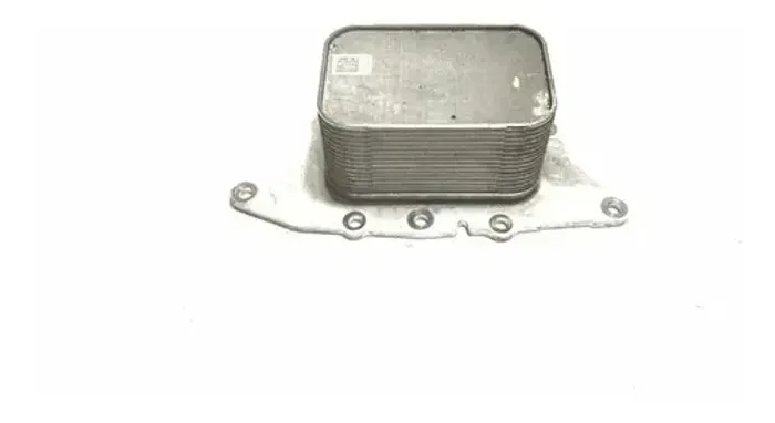 Radiador Resfriador Óleo Motor Bmw 220 225 X1 Mini F56 B48