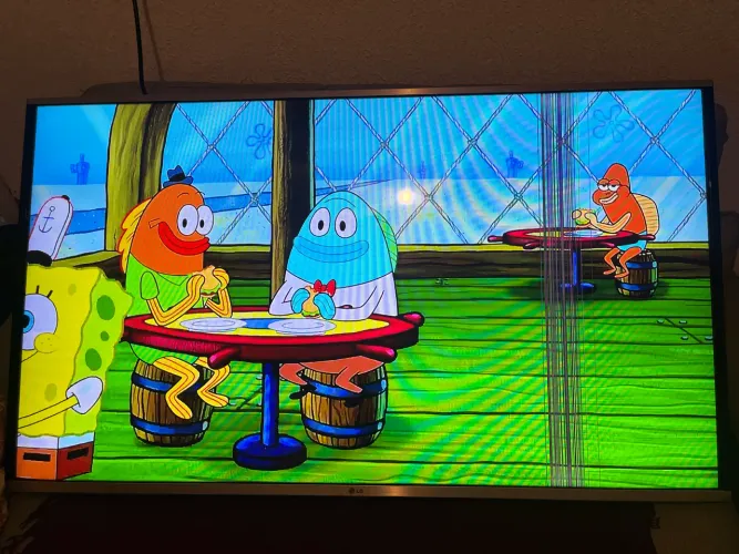 Vendo tv LG 49 polegadas 