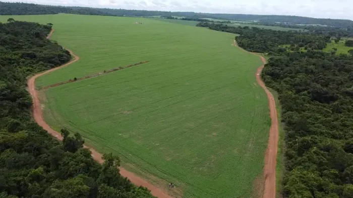 Fazenda em Barra do Garças mt 7.500 ha aceita permuta 80% em imóveis